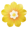 Yellow White Flower