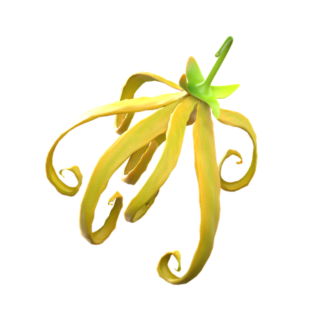 Ylang Ylang Flower  3D Icon