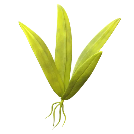 Young Rice Sprout  3D Icon