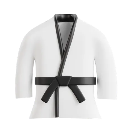 Judo  3D Icon