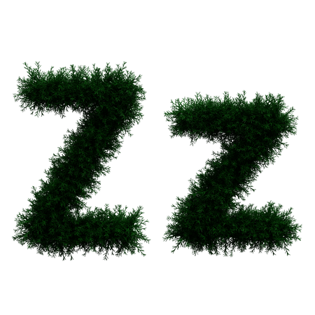 Z 3D Illustration
