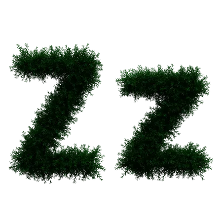 Z 3D Illustration