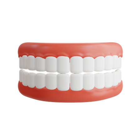 Zahnprothese  3D Icon
