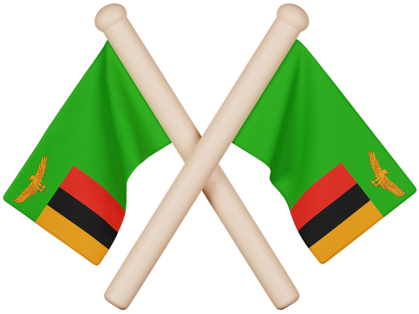 Zambia Flag  3D Icon