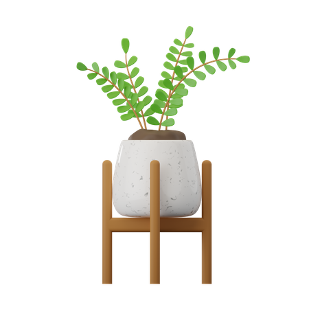 Zamioculcas-Pflanze  3D Icon