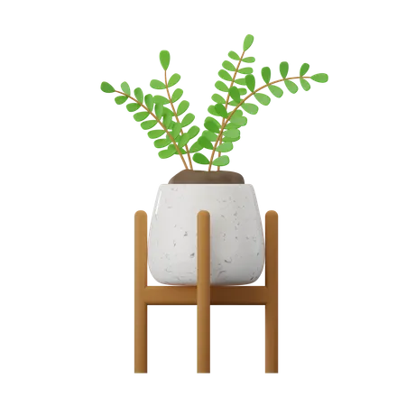 Zamioculcas-Pflanze  3D Icon