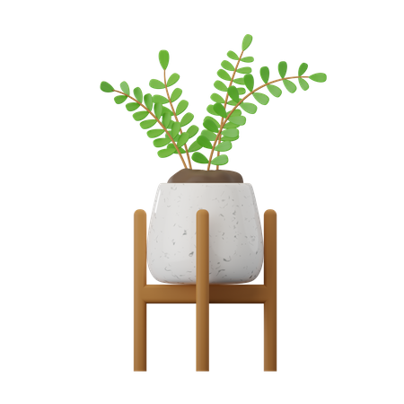 Zamioculcas Plant  3D Icon