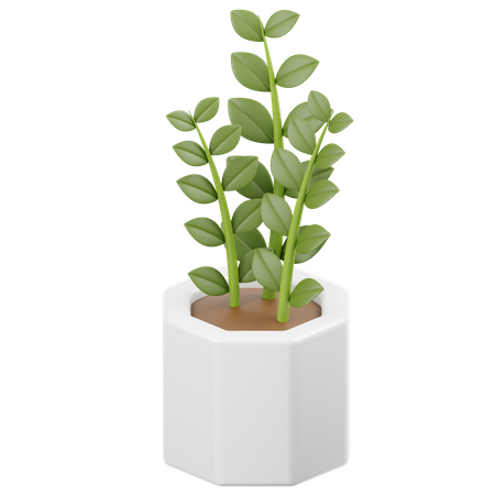 Zamioculcas Zamiifolia Plant  3D Icon