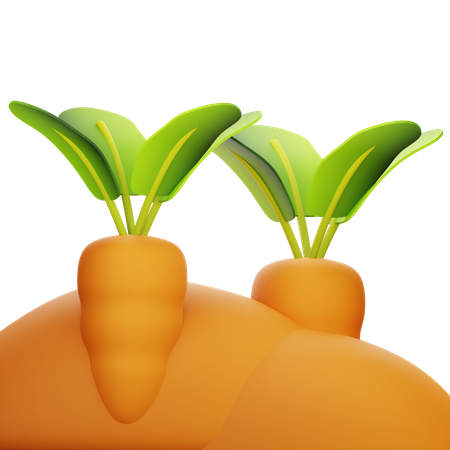 Zanahorias  3D Icon