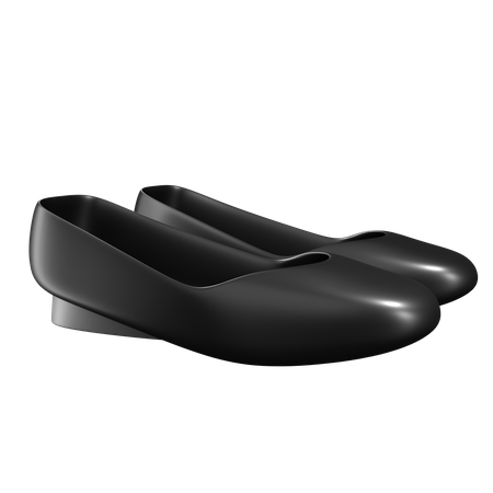 Zapatos planos  3D Icon