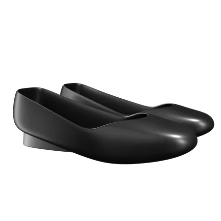 Zapatos planos  3D Icon