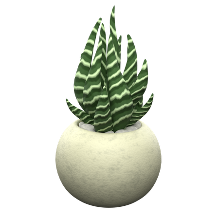 多肉植物ゼブラ  3D Icon