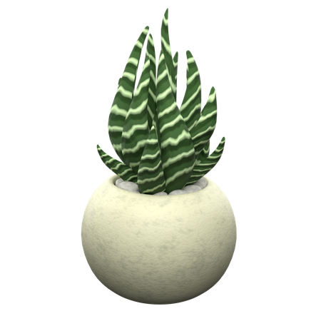 Zebra Succulent  3D Icon