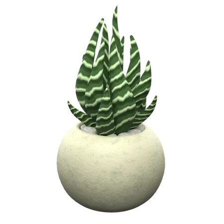 Zebra Succulent  3D Icon