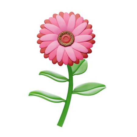 Zinnia  3D Icon