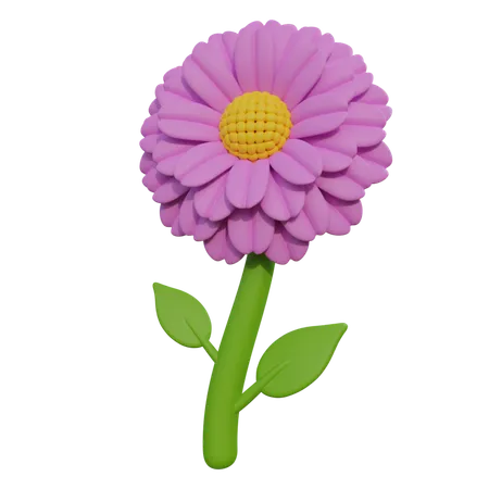 Zinnia  3D Icon