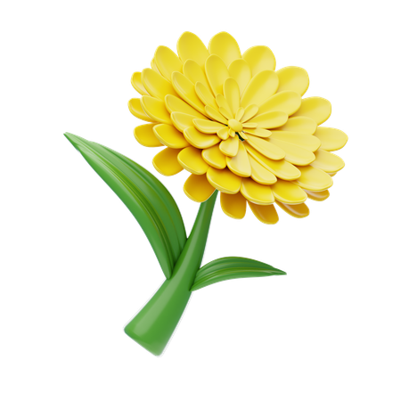 Zinnia  3D Icon