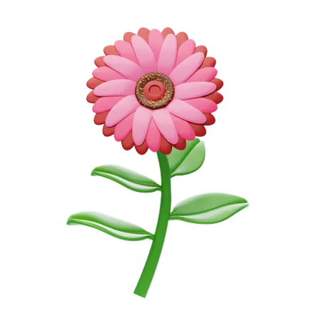 Zinnia  3D Icon