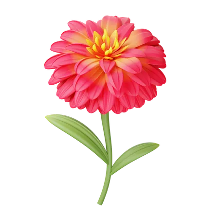 Zinnia  3D Icon