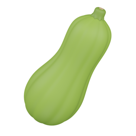 Zucchini  3D Icon