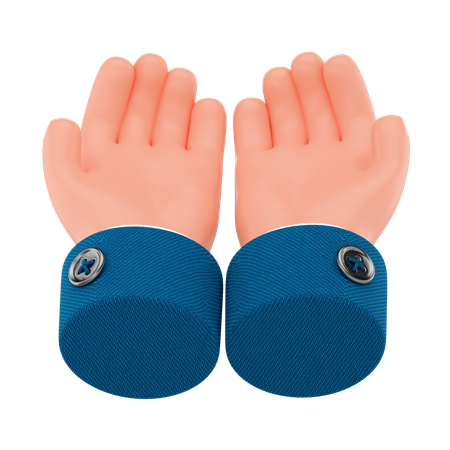 Zwei erhobene Hände  3D Icon