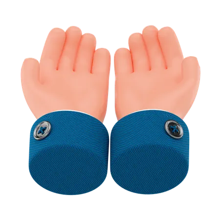Zwei erhobene Hände  3D Icon
