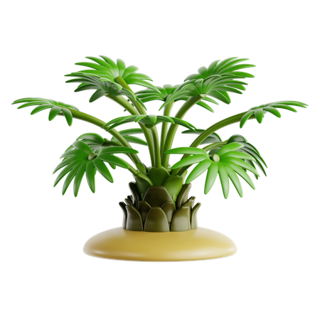 Zwergpalme  3D Icon