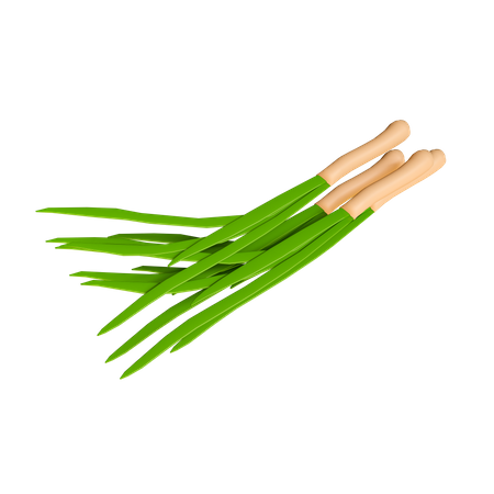 Zwiebelblätter  3D Icon