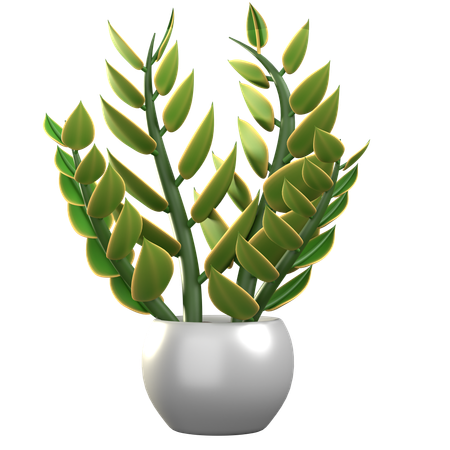 Plante zz  3D Icon