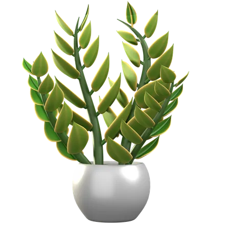 Plante zz  3D Icon