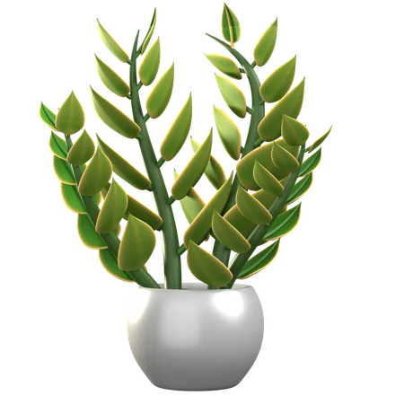 ZZ Plant  3D Icon