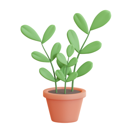 ZZ Plant Pot  3D Icon