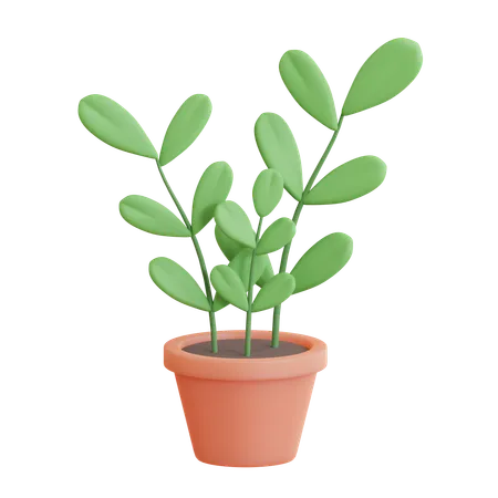 ZZ Plant Pot  3D Icon