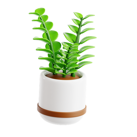 Planta zz  3D Icon