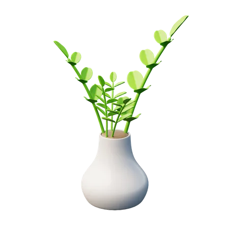 Planta zz  3D Icon